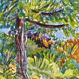 Plein Air Impressions