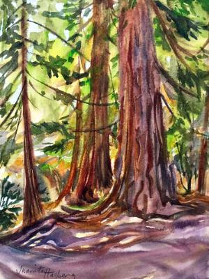 Whatcom Woods II